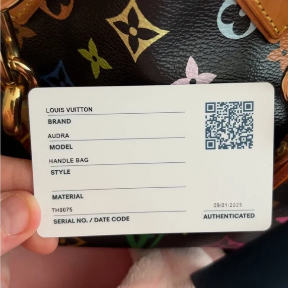 Louis Vuitton Black Multicolor Audra Handbag - Picture 8 of 10